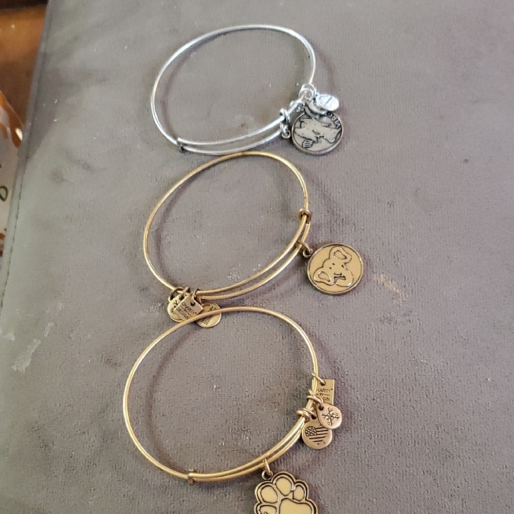 Alex and Ani Gold and Silver Charm Bracelets Set